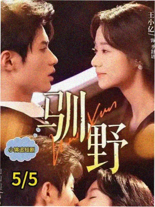 墨卷读书小说软件封面
